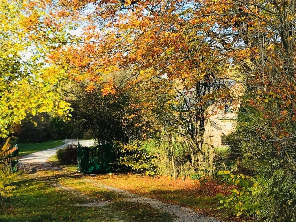 Lovely Meadow House In The Land Of Croix Scaille Gedinne Dış mekan fotoğraf