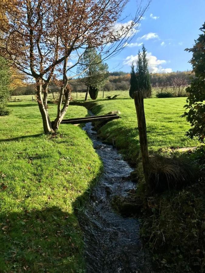 Lovely Meadow House In The Land Of Croix Scaille Gedinne Dış mekan fotoğraf