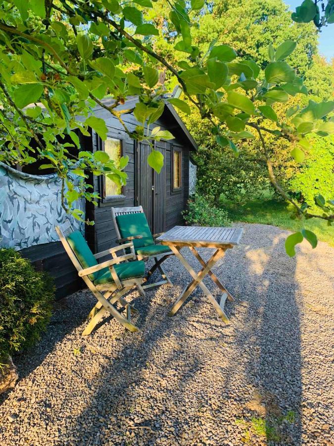 Lovely Meadow House In The Land Of Croix Scaille Gedinne Dış mekan fotoğraf